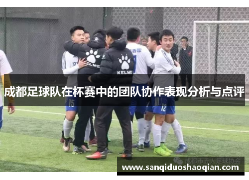 成都足球队在杯赛中的团队协作表现分析与点评