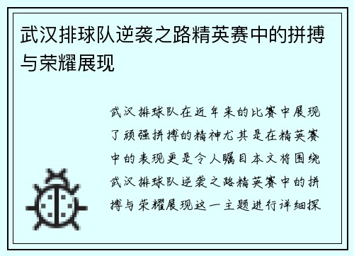 武汉排球队逆袭之路精英赛中的拼搏与荣耀展现